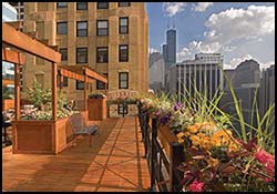 National Rental Services