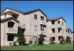 Access Real Estate Services