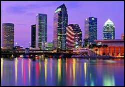 5 Stars Plus Real estate services